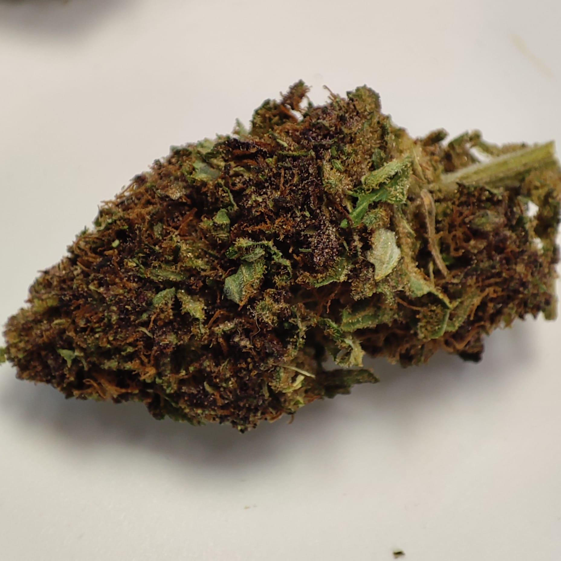 LA FRITTER 2