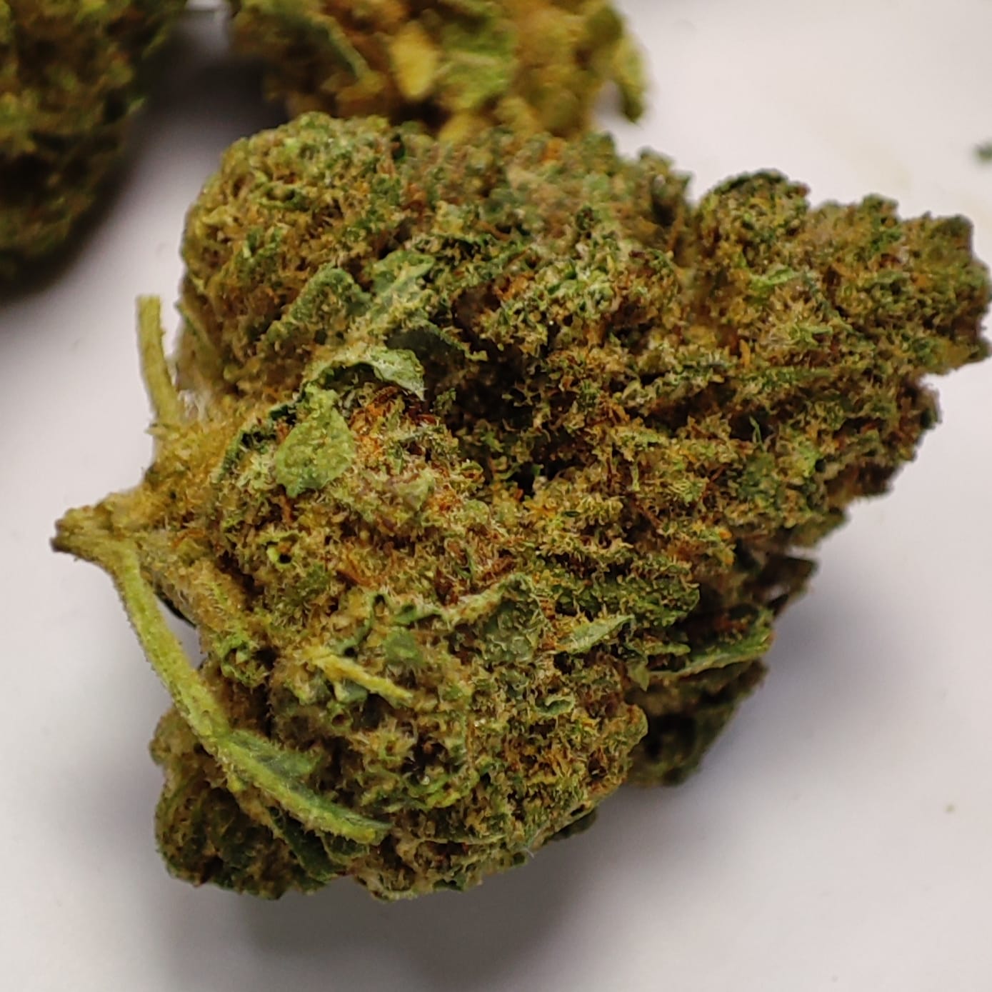 LA BUBBA KUSH (small buds)