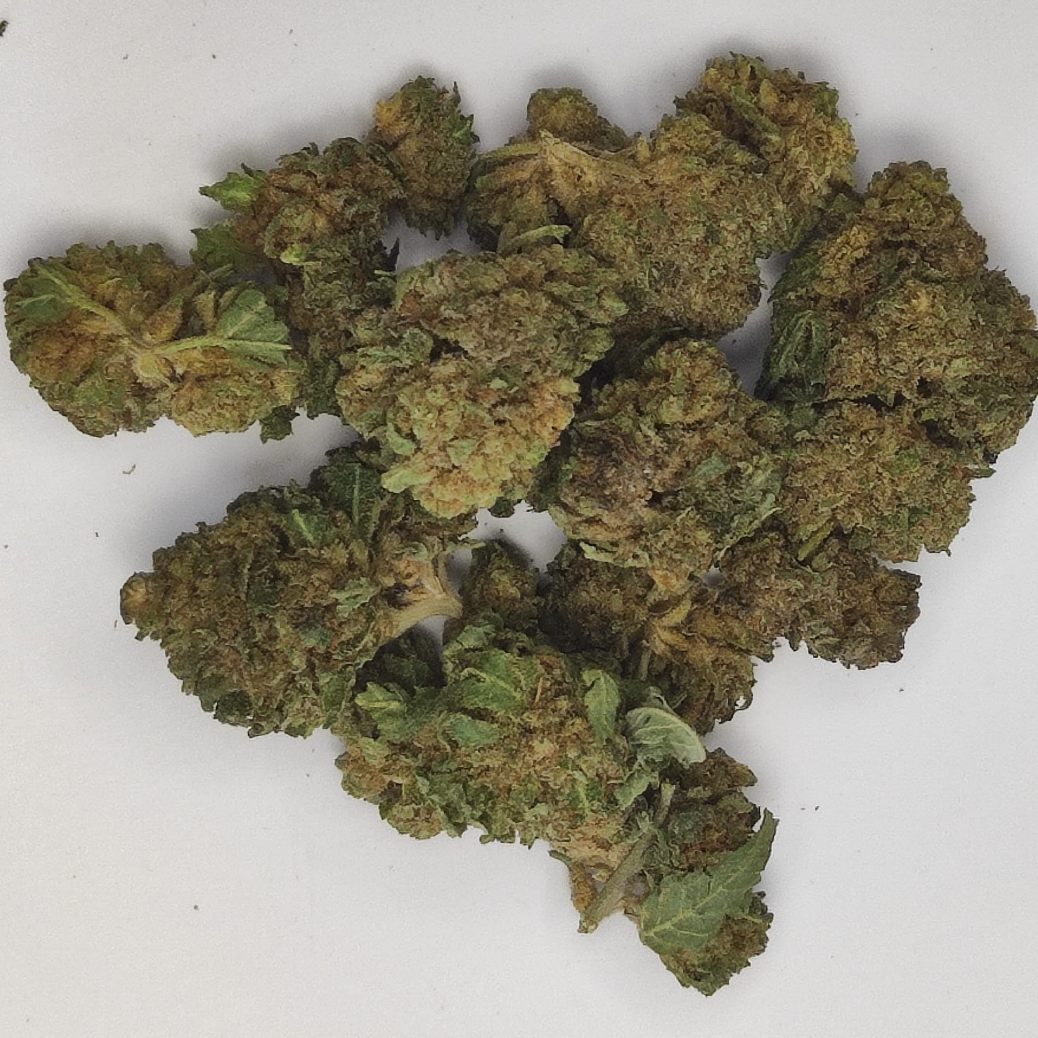 BUBBA KUSH SMALL 1