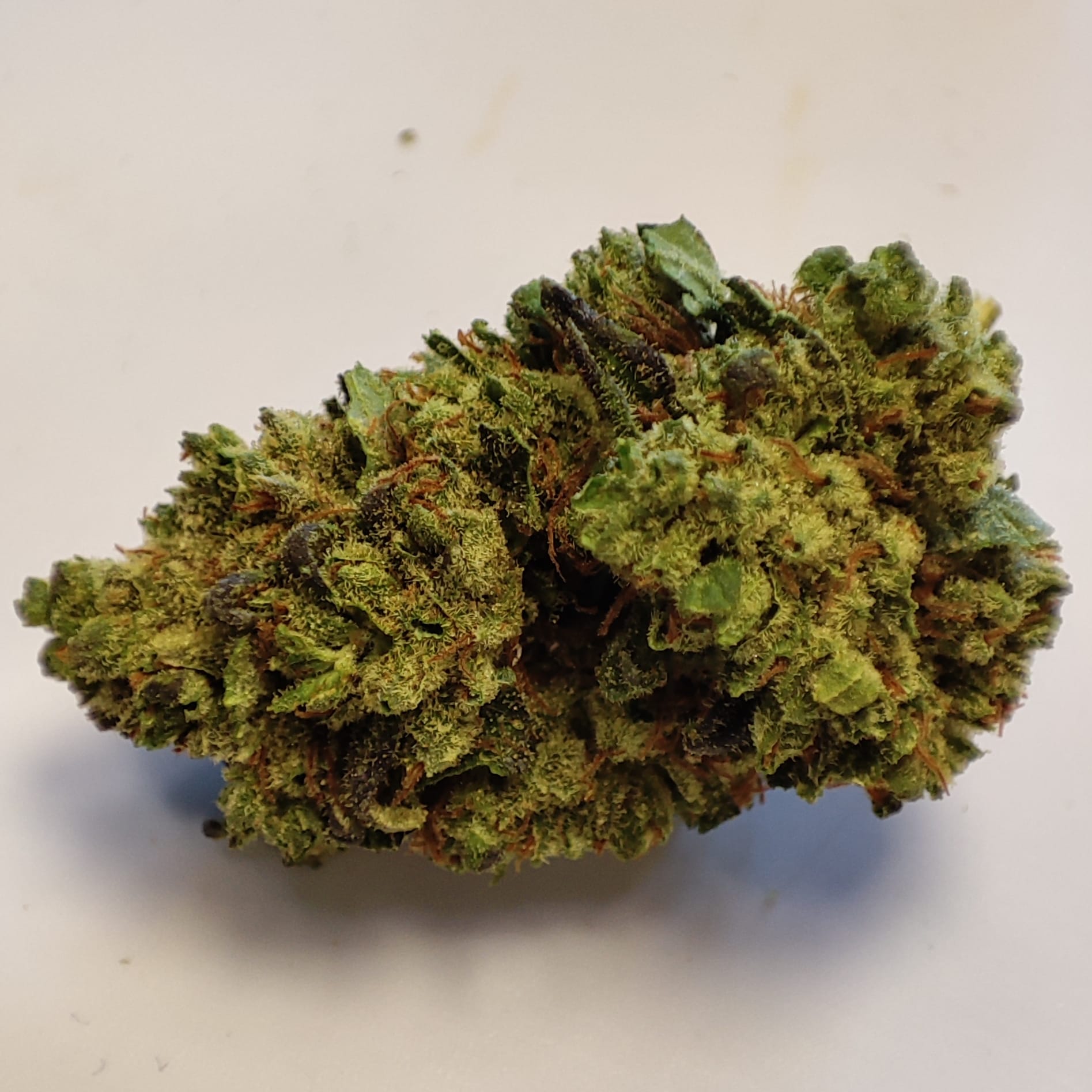 LA GOLDEN GAZ