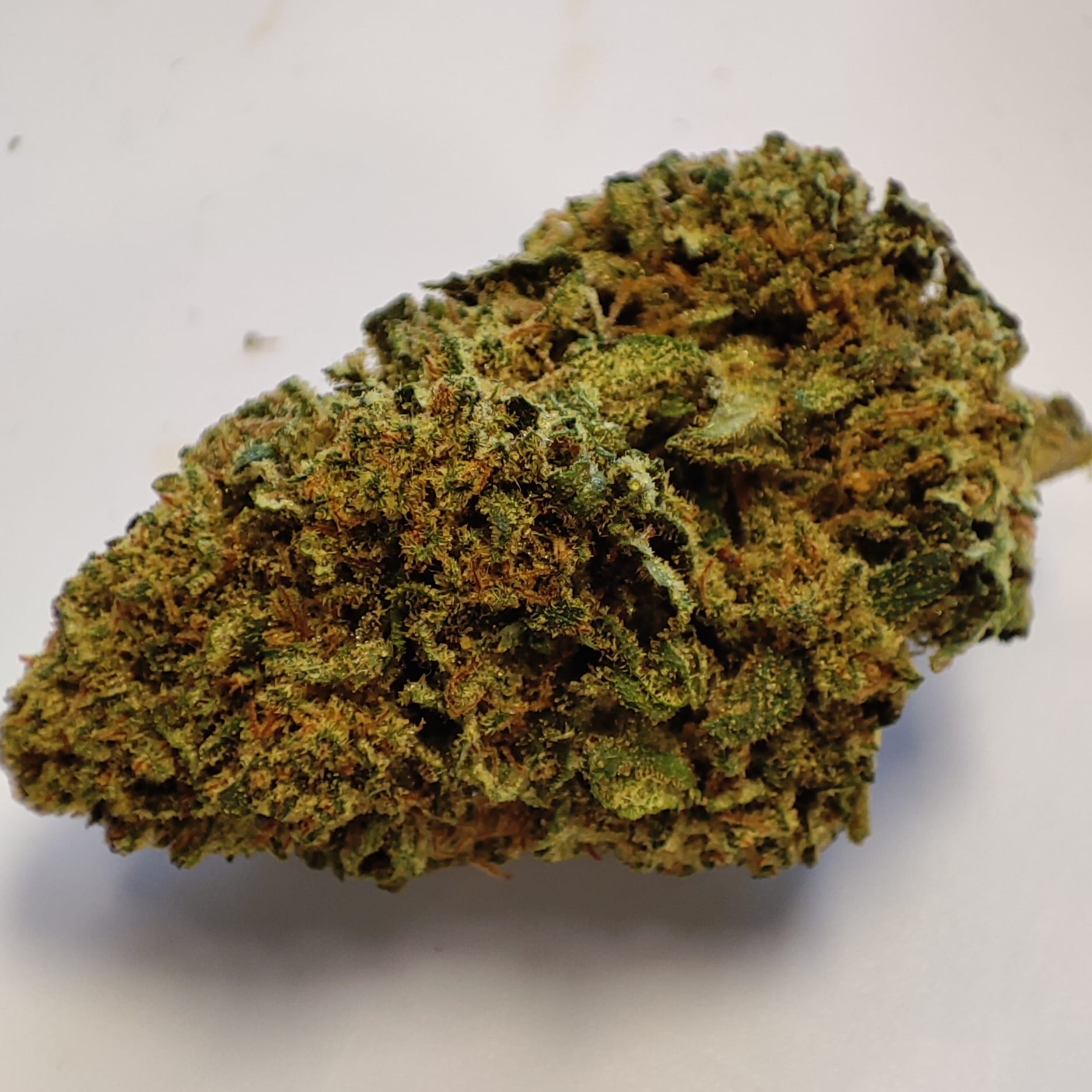 ROYAL BERRY 2