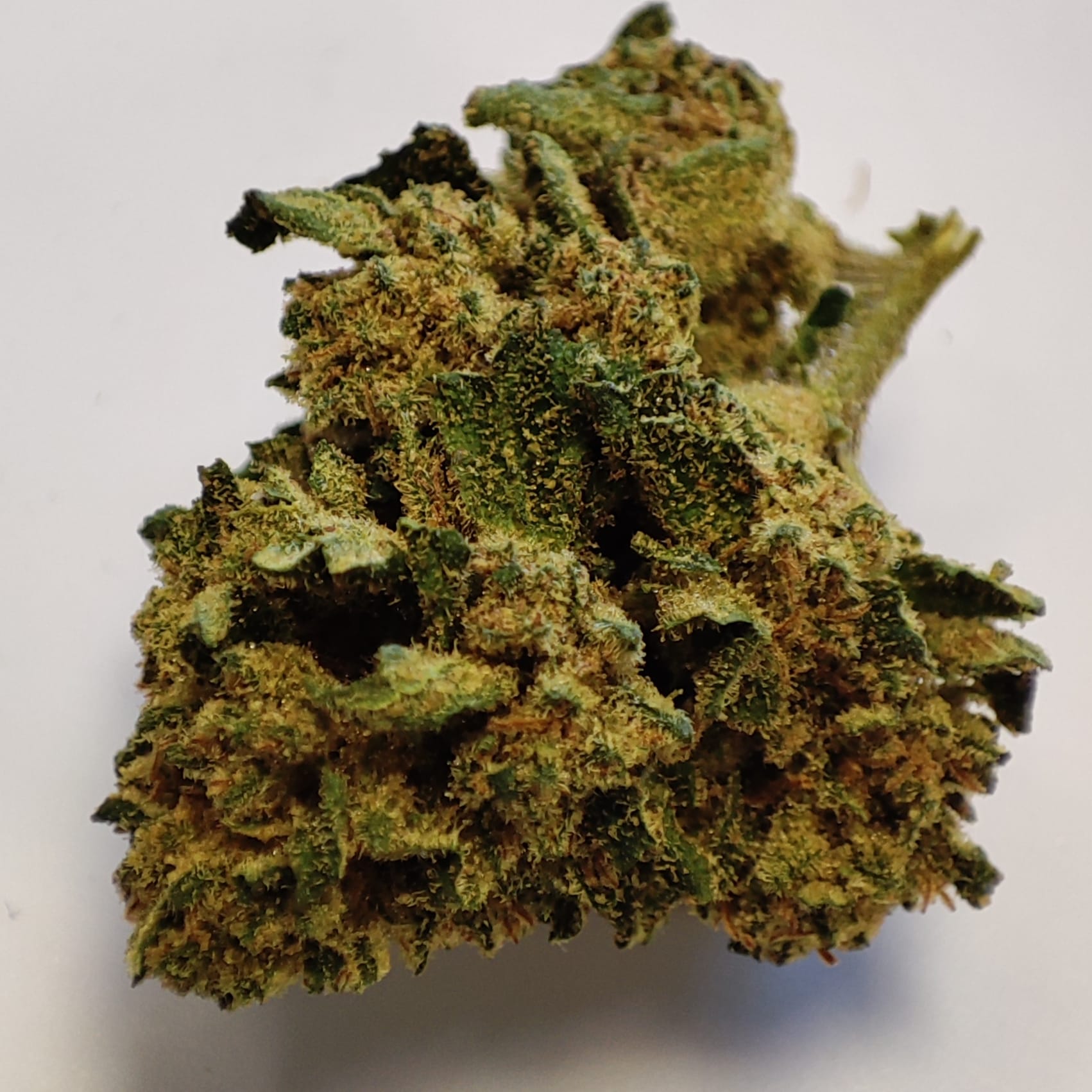 ROYAL BERRY 3