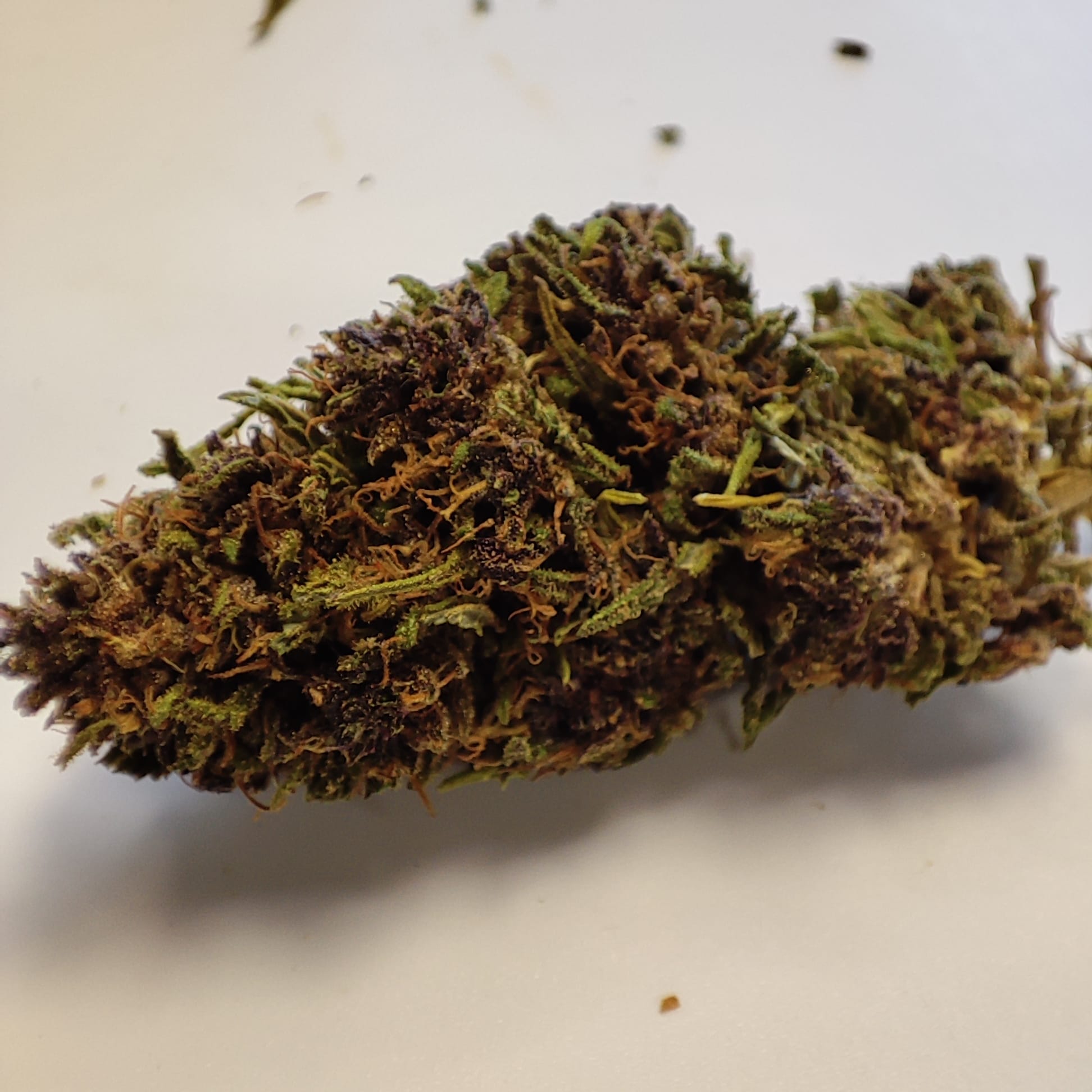 LA PURPLE CAKE LFH