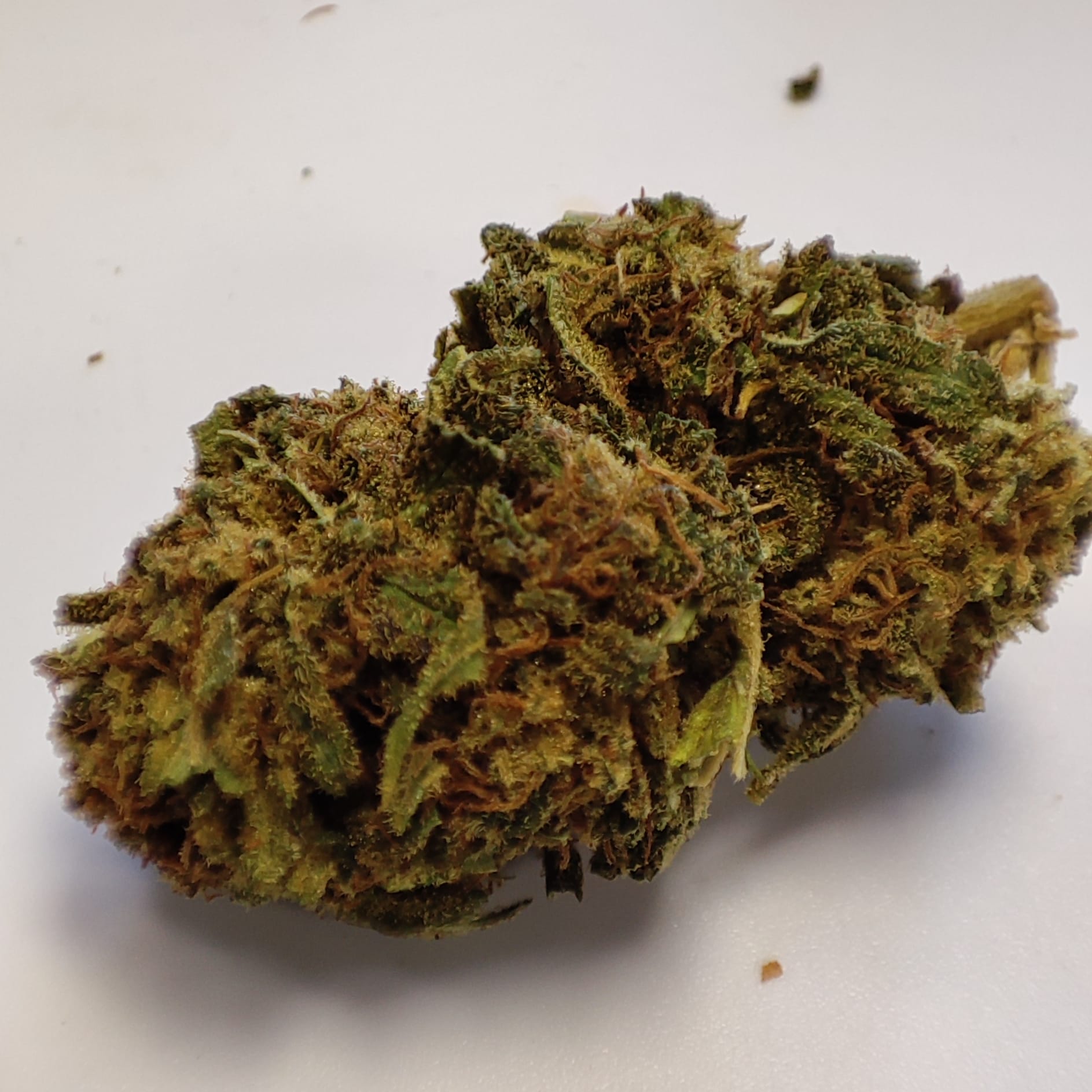 PURPLE CAKE LFH 2
