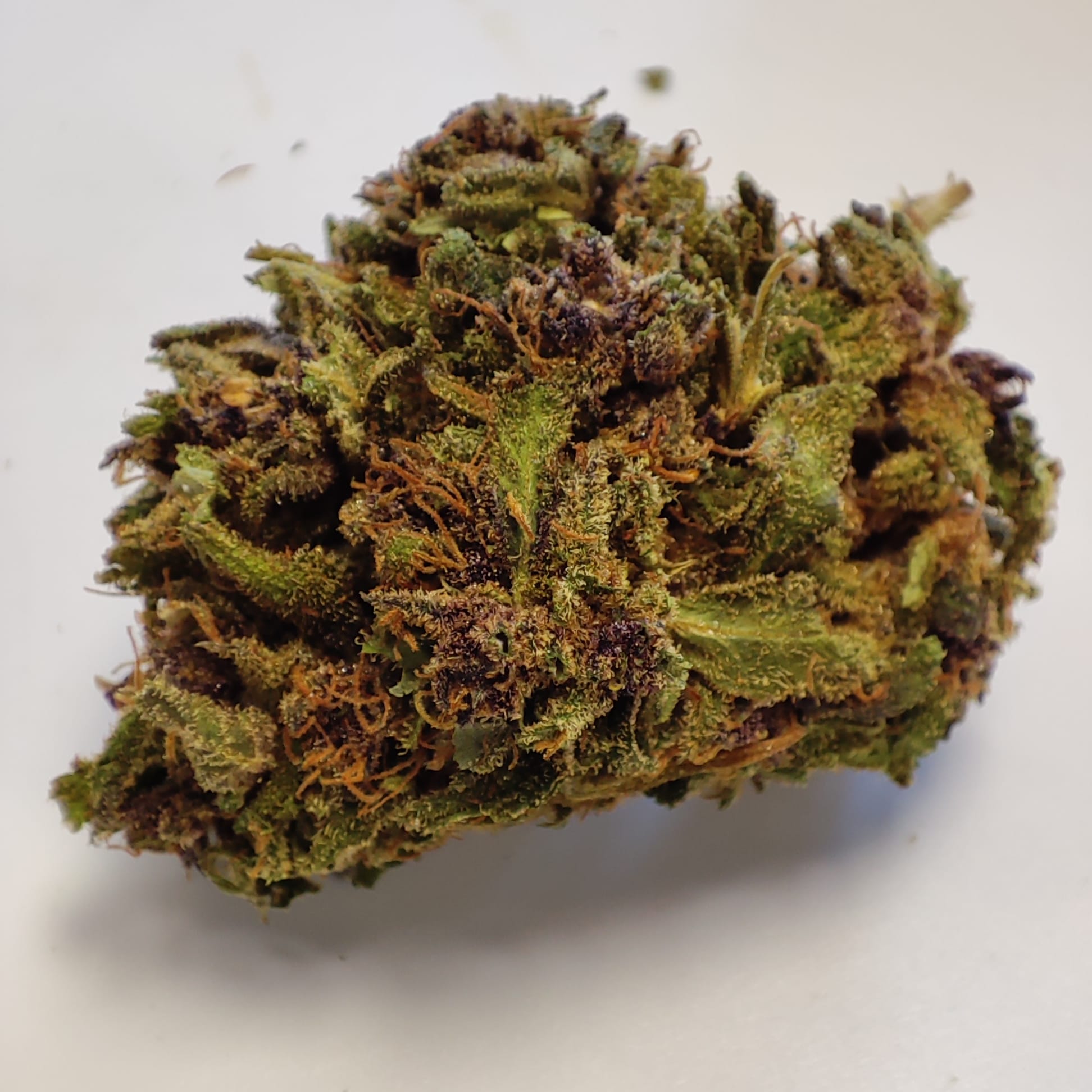PURPLE CAKE LFH 3