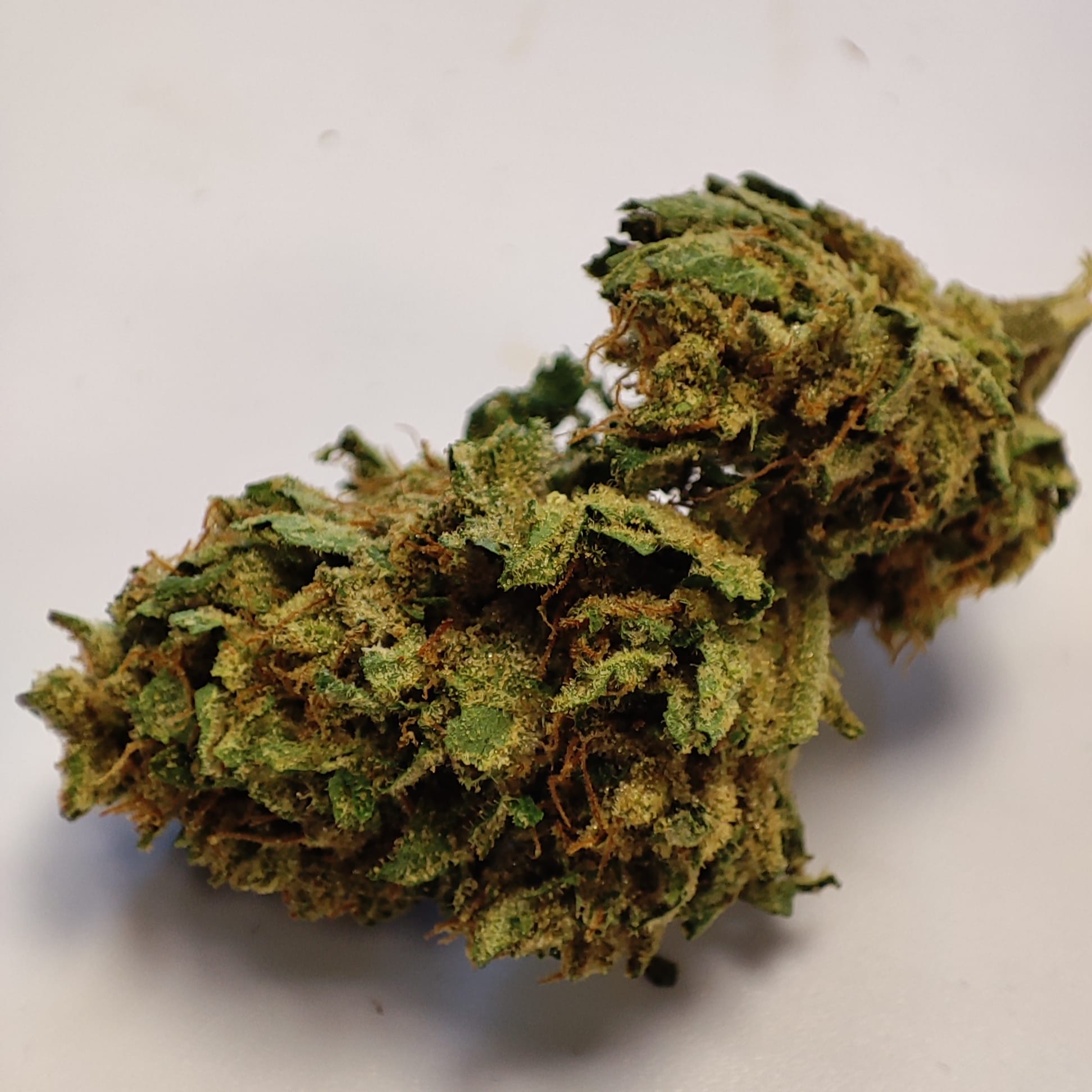 P HAZE HP 3