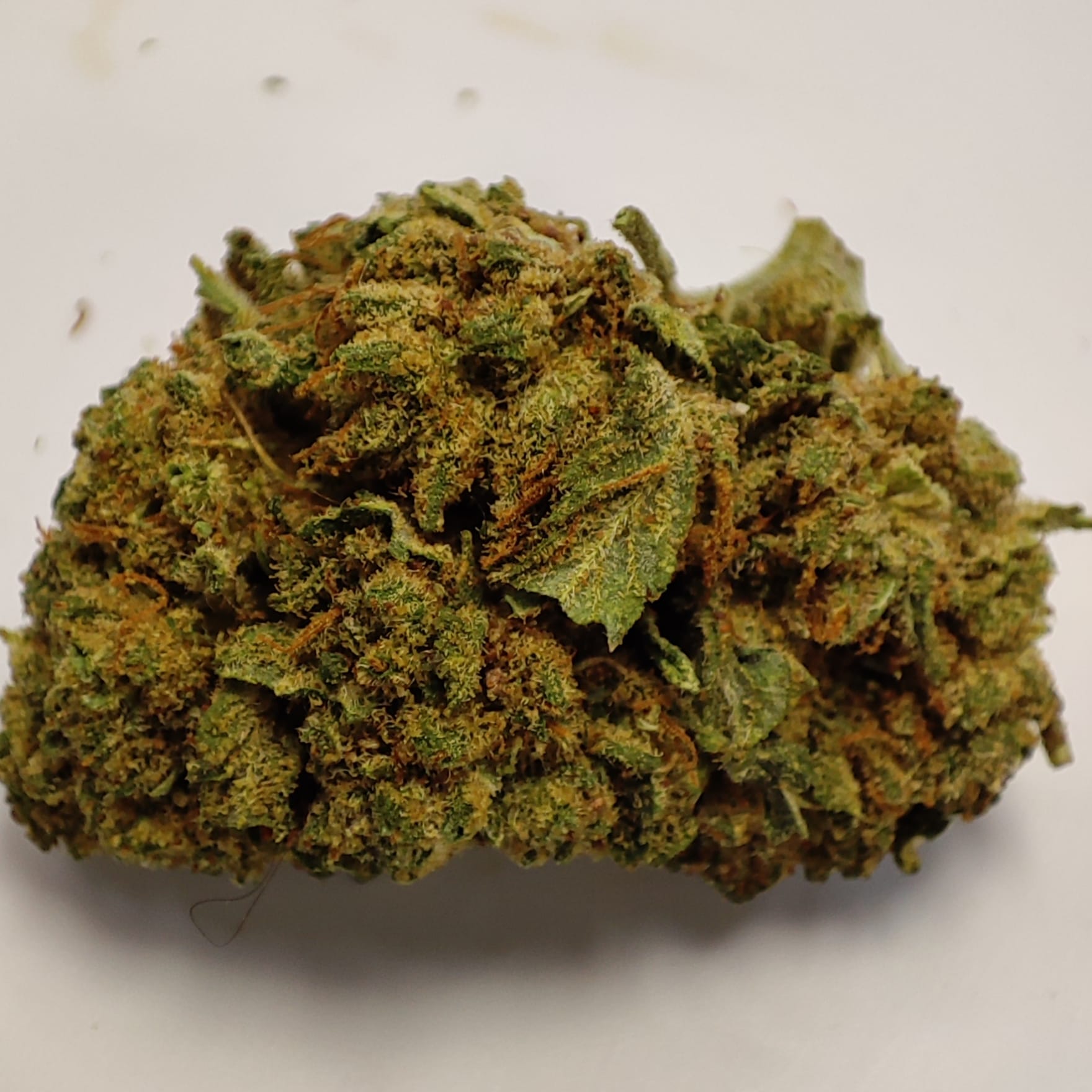 LA WHITE CALI