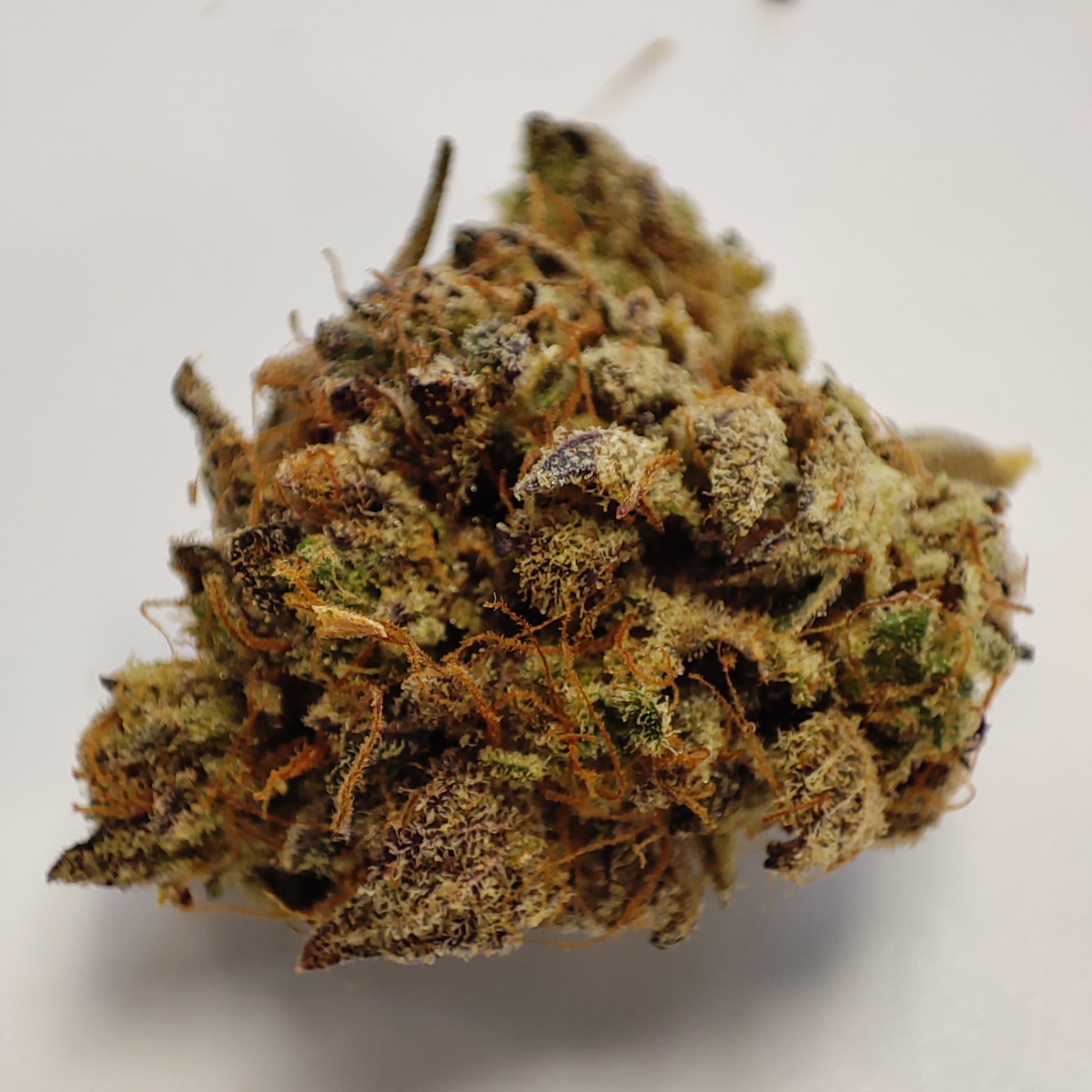 LILIAC FUEL 2