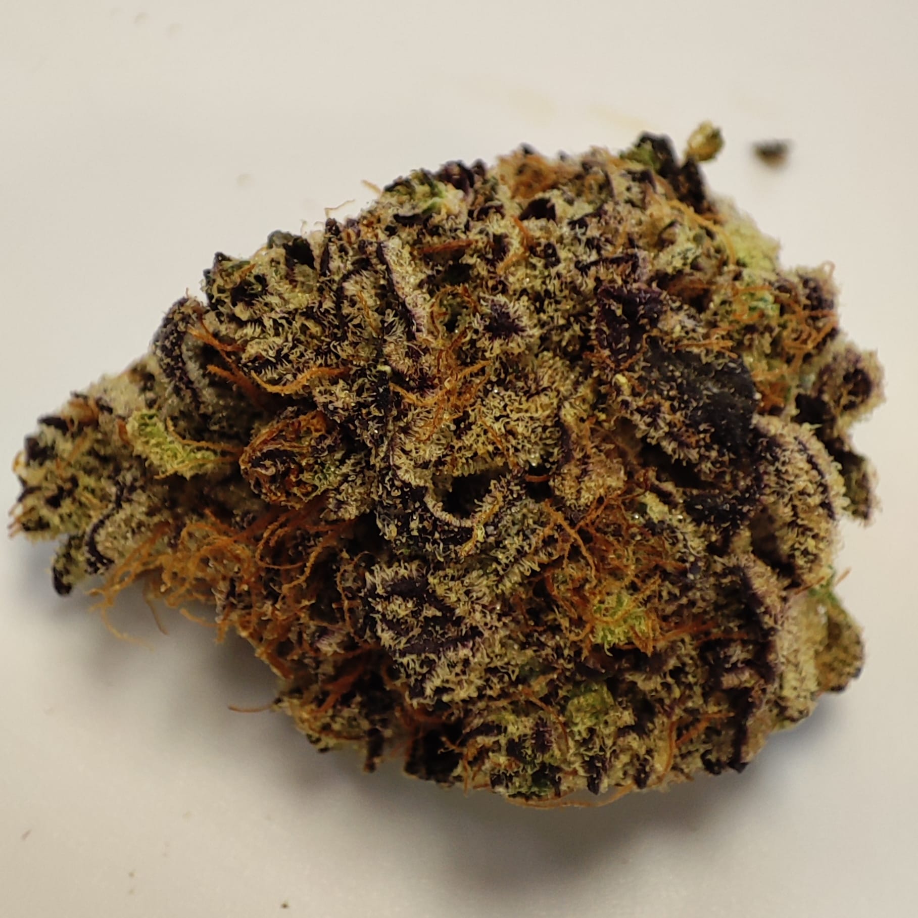 LILIAC FUEL 3