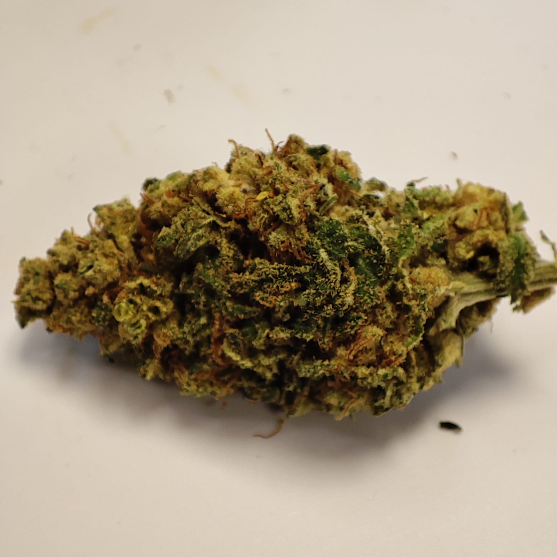 TANGIE KUSH 1