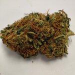 TROPICAL FRUIT 3