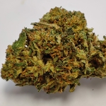 KALI MIST 3