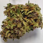 BLUE SHAOLIN 1