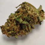 LA FRITTER 1