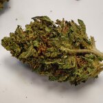 GOAT BUTTER 1