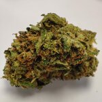 GOAT BUTTER 2