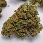TROPICAL PUNCH SMALL 2