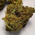 BUBBA KUSH SMALL 3