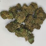 BUBBA KUSH SMALL 1