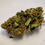 MIMOSA 2