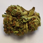 MIMOSA 3