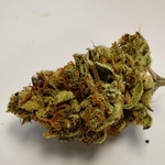 ALIEN DIESEL LTF 2