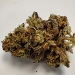 ALIEN DIESEL LTF1