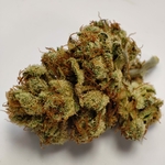 ALIEN DIESEL LTF 3