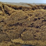 STRAW 00 2