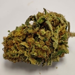 TANGIE KUSH 2