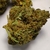 BUBBA KUSH SMALL 3