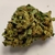 P HAZE HP 1