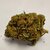LEMON POP 1