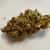 LILIAC FUEL 1