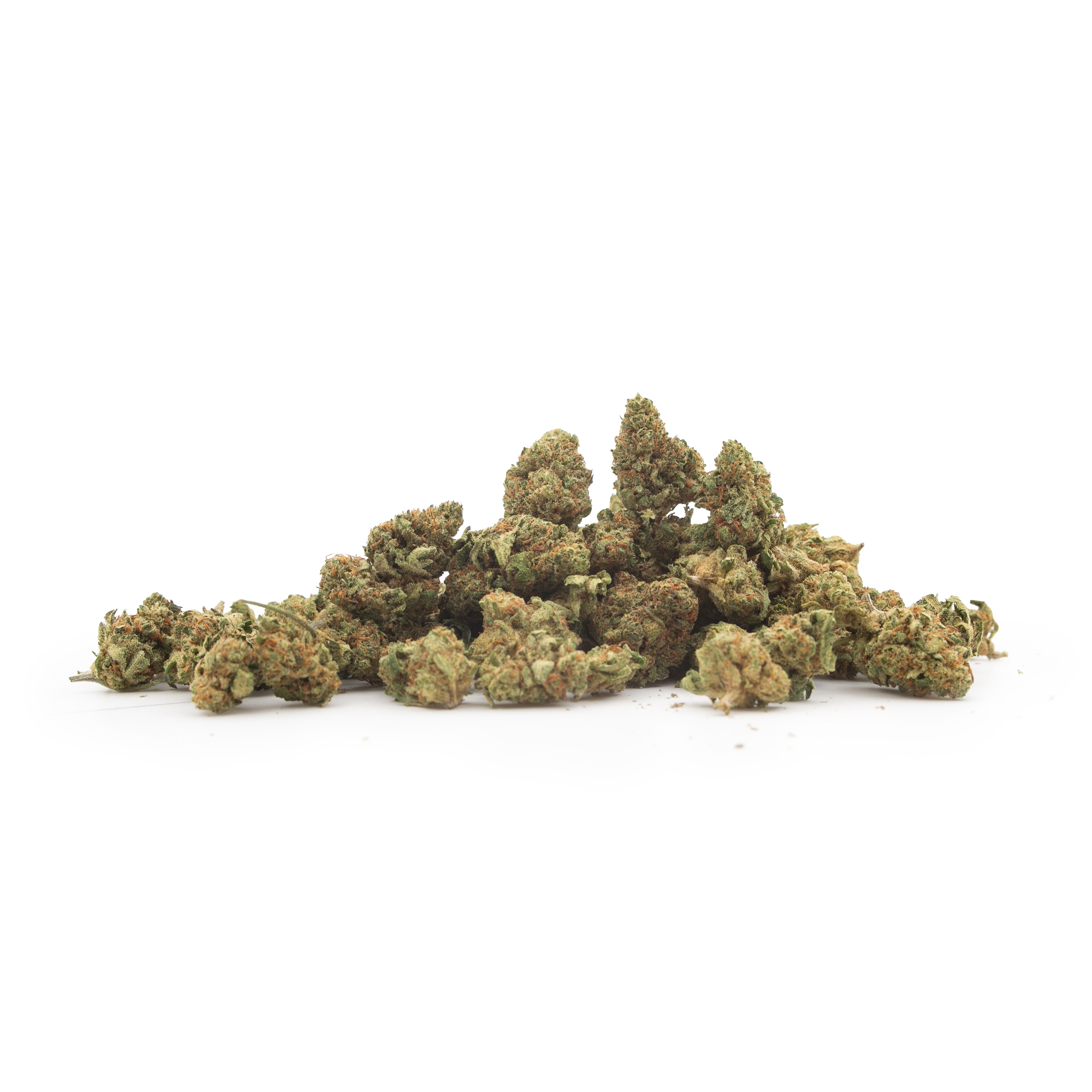 small-buds-1