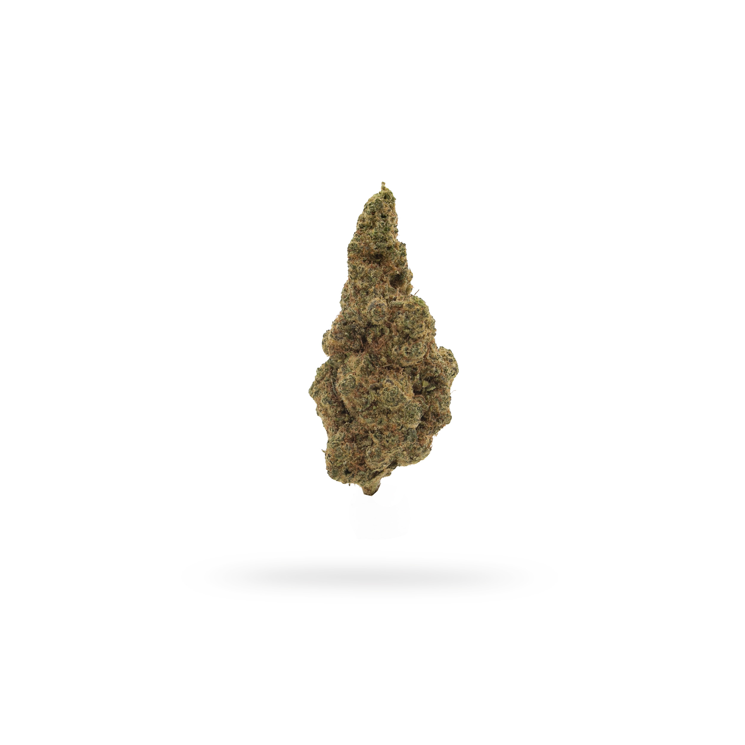 Plutonium