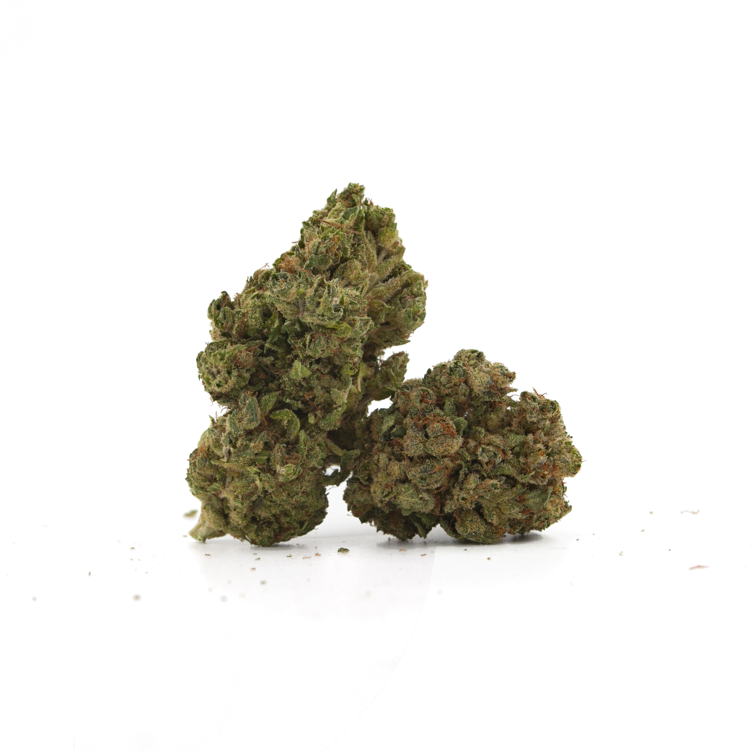 BUDDAH-carre-01-bis