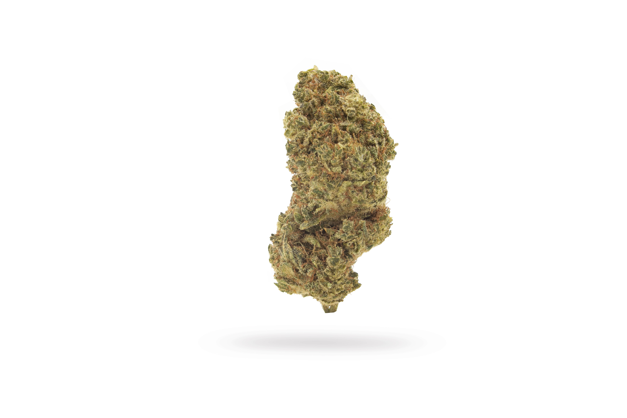 LEMON-HAZE-2