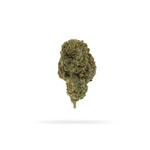 BUDDAH-carre-02-bis