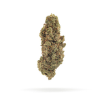 LEMON-HAZE-carre-01-bis