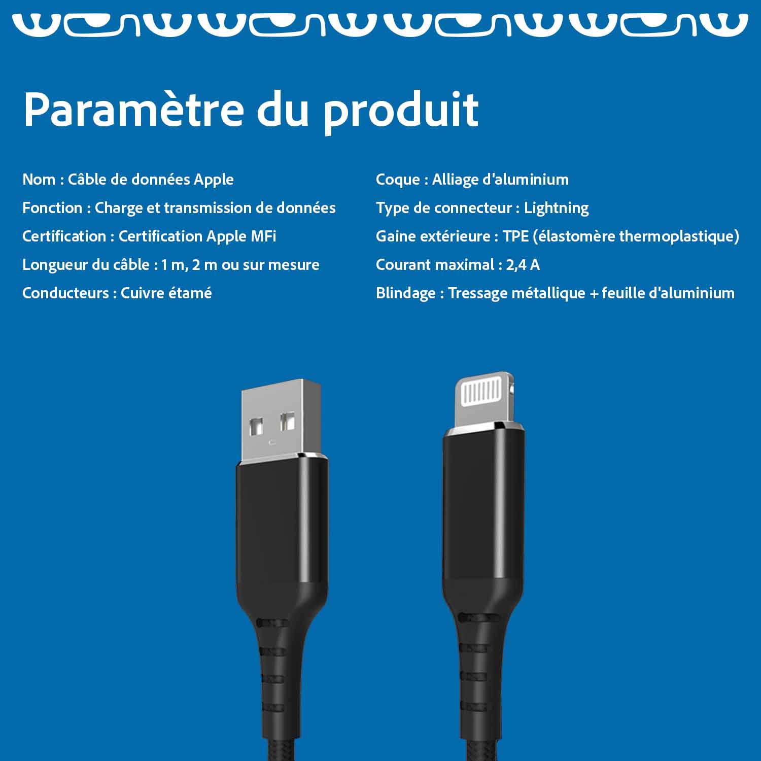 cable mfi paramètres produit