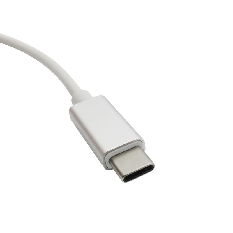 embout type C connecteur male cable blancs