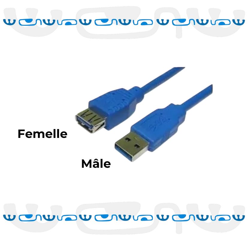 gros plan de connecteur mâle femelle