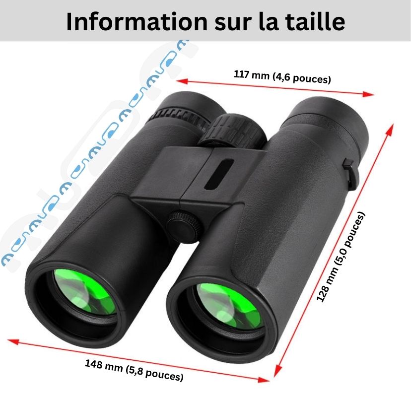 dimensions des jumelles