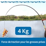resistance canne téléscopique à 4kg