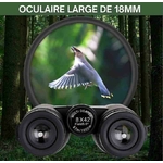 gros plan oiseau et jumelles côté lentilles dobservation