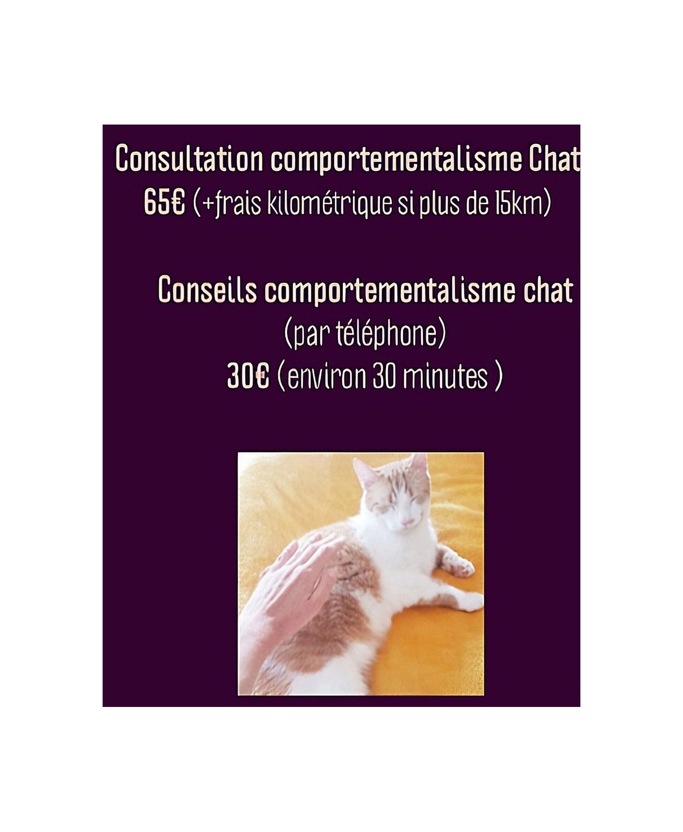 soins animaux copie2
