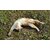 20220328_165143 - Copie
