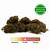 1721777181-don-papa-image-greenhouse-cbd-infusion-250g