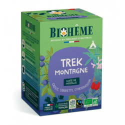 Treck des montagnes